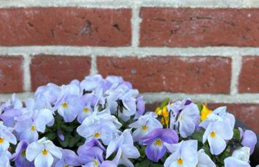 Ferienhaus SüdWest - Photo 34