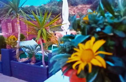 OrangeBalestrate - Foto 25