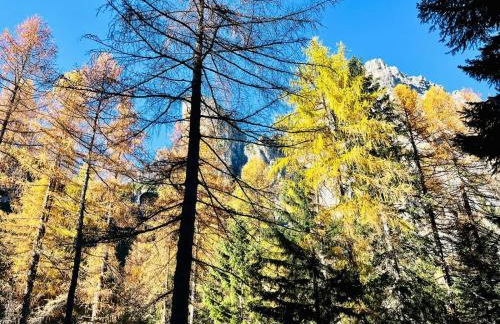 Chalet Relax Molveno - Foto 20