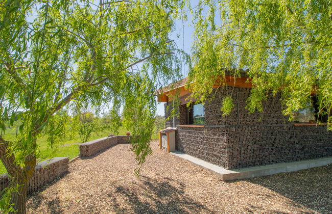 Il Vitigno - Foto 15