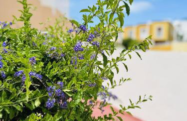 Costa Adeje Orlando Tenerife Sea View - Pool - AC - Foto 48