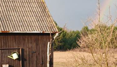 Siedlisko Magnolia - Foto 3, Garden view