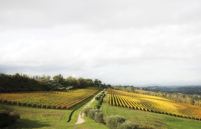 Poderi Arcangelo - Photo 63