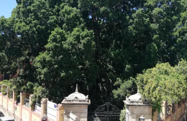 CASA PALACIO CABALLEROS 7 con Parking - Photo 26