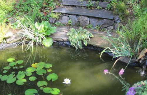 Feriendomizil Mikesh - Foto 22