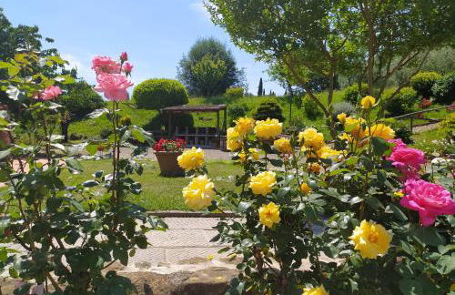 Casa Elisa - Foto 22