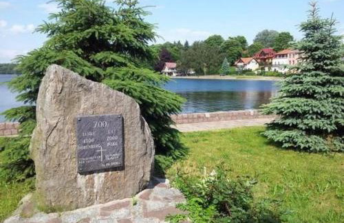 Holiday Home Dario by Interhome - Foto 40