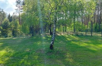 Bullerbyn na Kaszubach - Foto 22