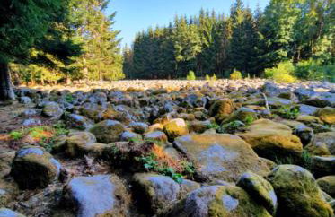 Chalet Aster 3 étoiles - Foto 19