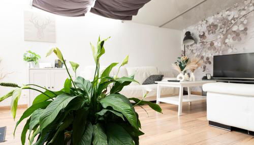 Gîte en Sologne - La Deniserie - 94m2 avec Garage - Photo 5