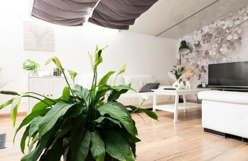 Gîte en Sologne - La Deniserie - 94m2 avec Garage - Foto 5