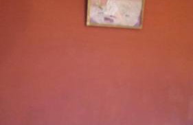 Apartman VeDE Baćina - Foto 25