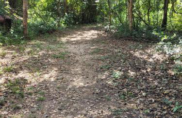 Casa Oásis Pirenópolis - Foto 39