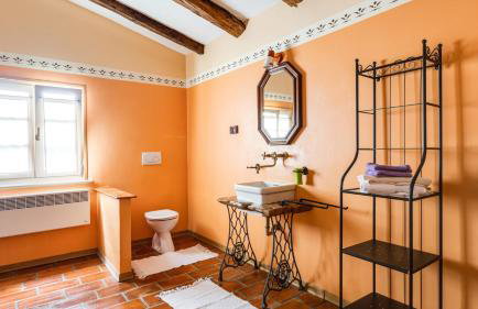 Rustic villa Casa Mazuli with pool in Groznjan - Foto 54