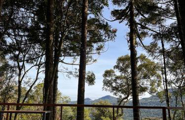 La negra - cabana entre araucárias - Foto 30