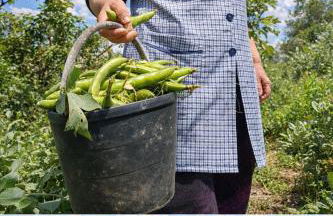 Casa da Ti Bia - Foto 26