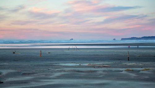 Pelican Condo - Foto 5