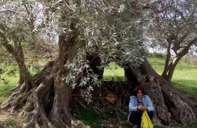 Agriturismo Via del Campo - Foto 17