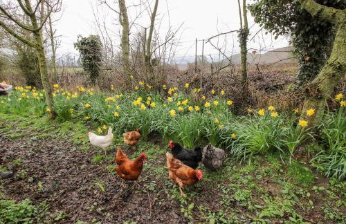 The Wheelhouse at Dudgeley Mill - Photo 23