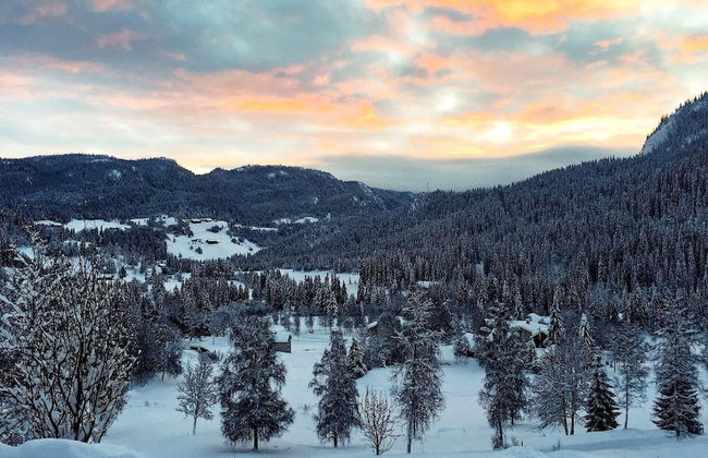 8 Person Holiday Home in Flatdal - Foto 10