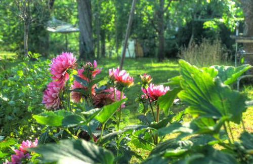 Ferienwohnung am Obstgarten - Foto 25