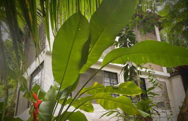 REFUGIO DO SAGRADO MORERE Tropical Lodge - A Casa do Vigía - Foto 18