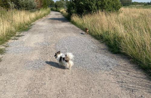 Osada Rybacka - Foto 36