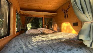 Bus insolite - Foto 2