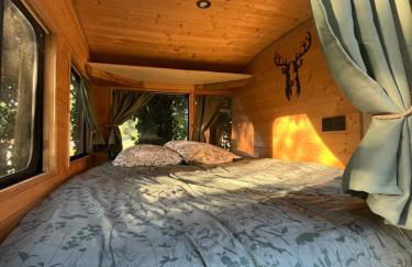 Bus insolite - Foto 2