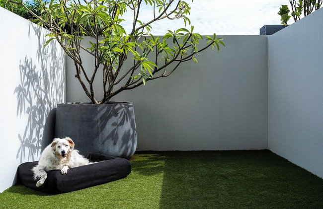 Quest Robina - Foto 37