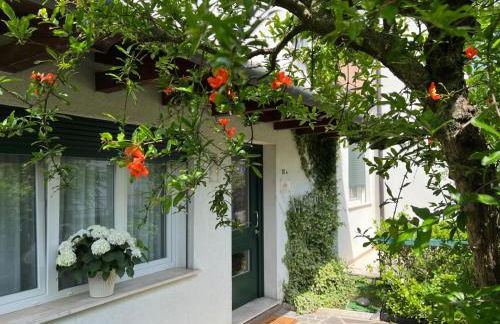 Le Gardenie di Tito - Foto 1