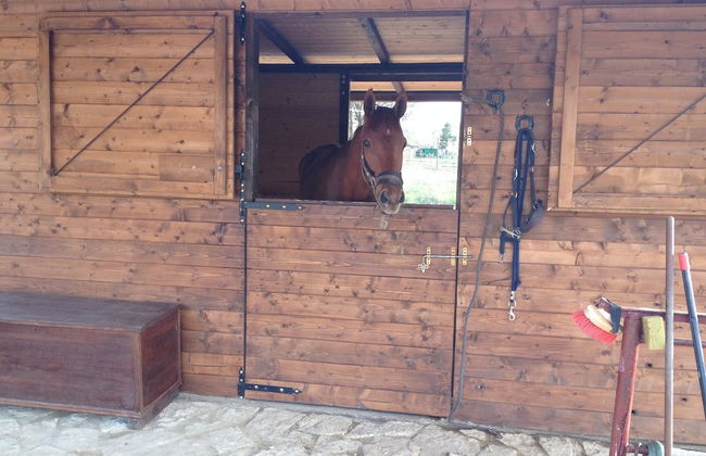 Agriturismo Paradiso - Foto 15