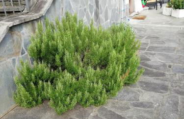 Villa Banfi - Foto 2