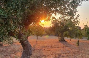 Trullo cumma Rosa - Foto 3