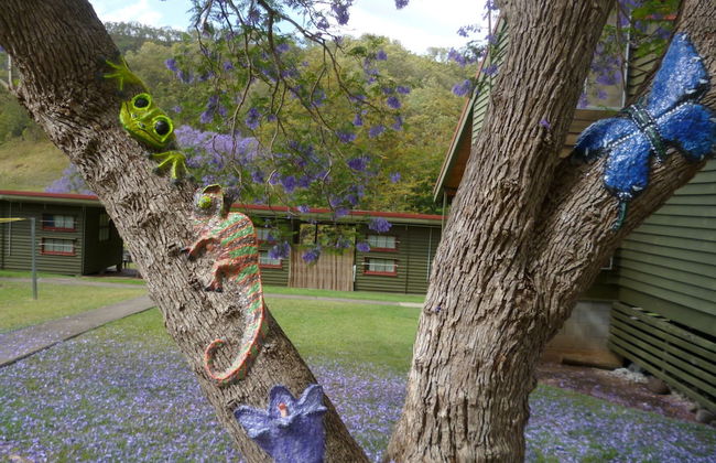 Christmas Creek Cafe & Cabins - Foto 36