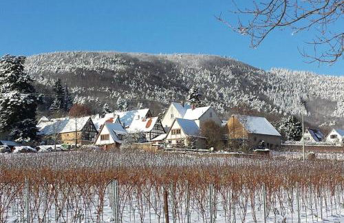 Traumblick Rebenmeer - Foto 33