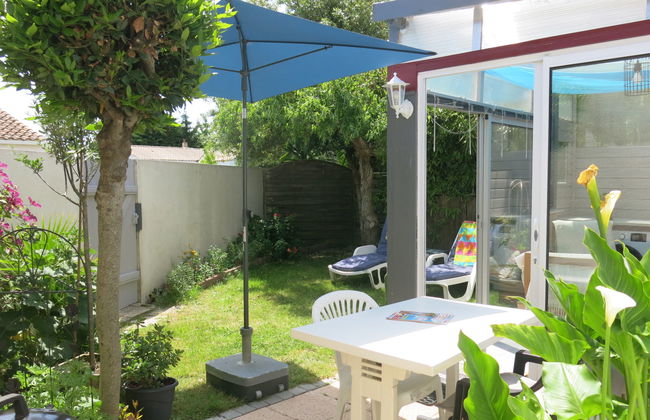 Roses Tremières - Foto 1