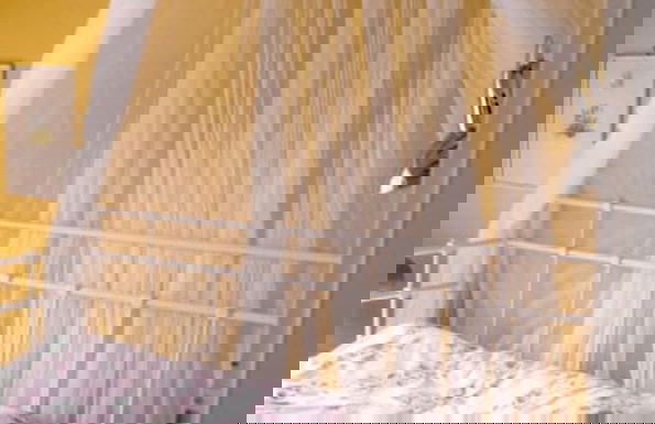 Orangery Berum Modern Retreat - Foto 6