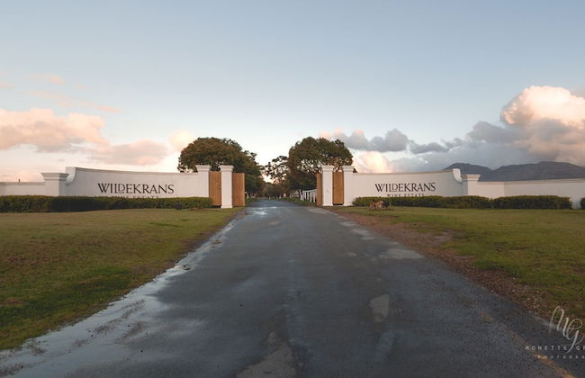 Endless Vineyards at Wildekrans Wine Estate - Photo 35