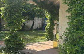 Villa Avvocato Catapano - Photo 58