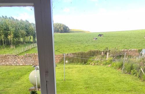 4 Bed Cottage Sleeps 6-Pet-Friendly-Private Garden - Foto 18