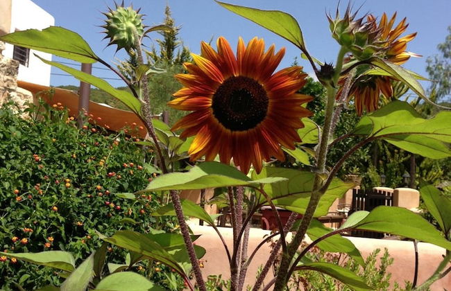 Xarc Agroturismo - Foto 20