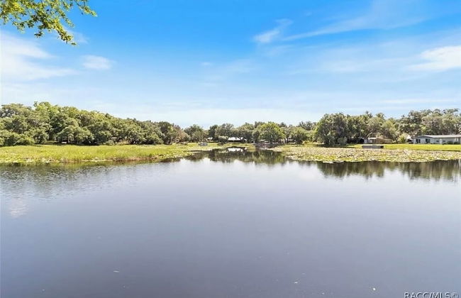 Rustic Lakehouse kayaks fishing bonfires - Foto 20