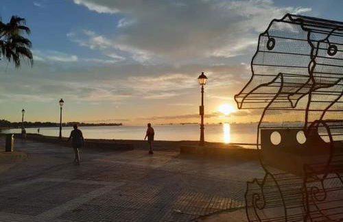 CABALLITO DE MAR - Foto 45