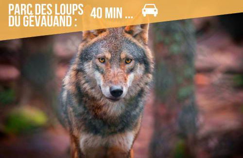 Le Bohème - Spa/Netflix/Wifi Fibre - Séjour Lozère - Foto 26