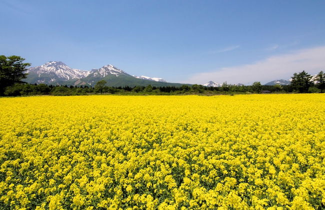 Myoko Onsen cottage Ajisai - Foto 39