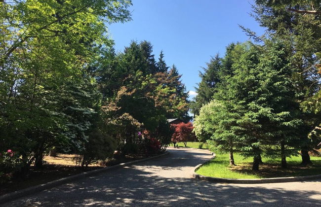 B - Sechelt Private Coastal Home - Photo 16