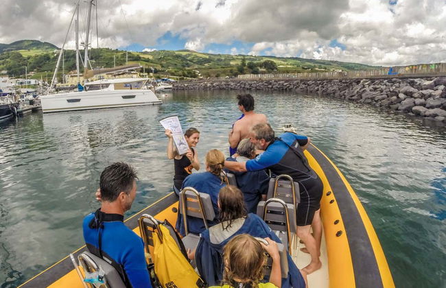 Swimming with Dolphins in Vila Franca do Campo - Photo 3