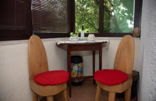 Apartman Žagar - Foto 18