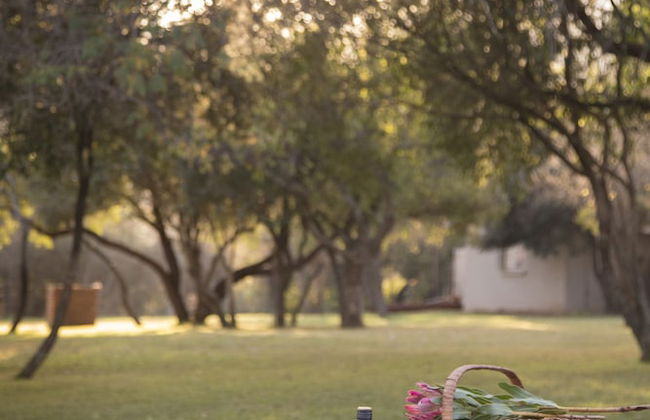 Nehema Manor - Foto 46